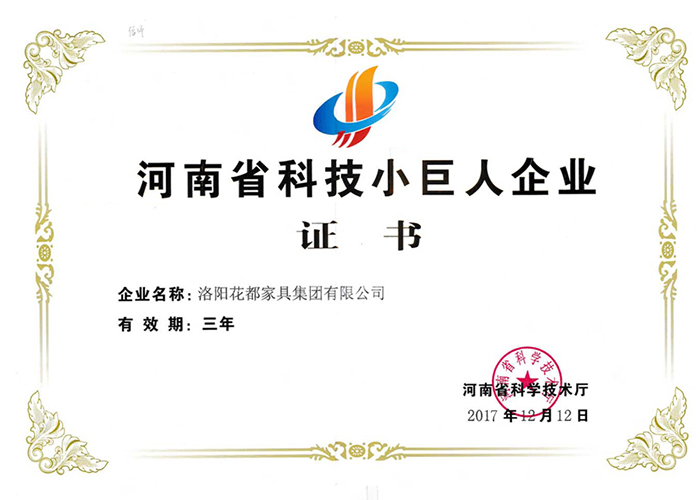 河南省科技小巨人证书